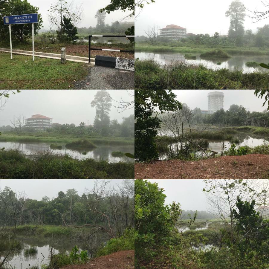 Patin Guest House @Desa Telok Ira, Temerloh Pahang Kampong Paya Kerinau Esterno foto